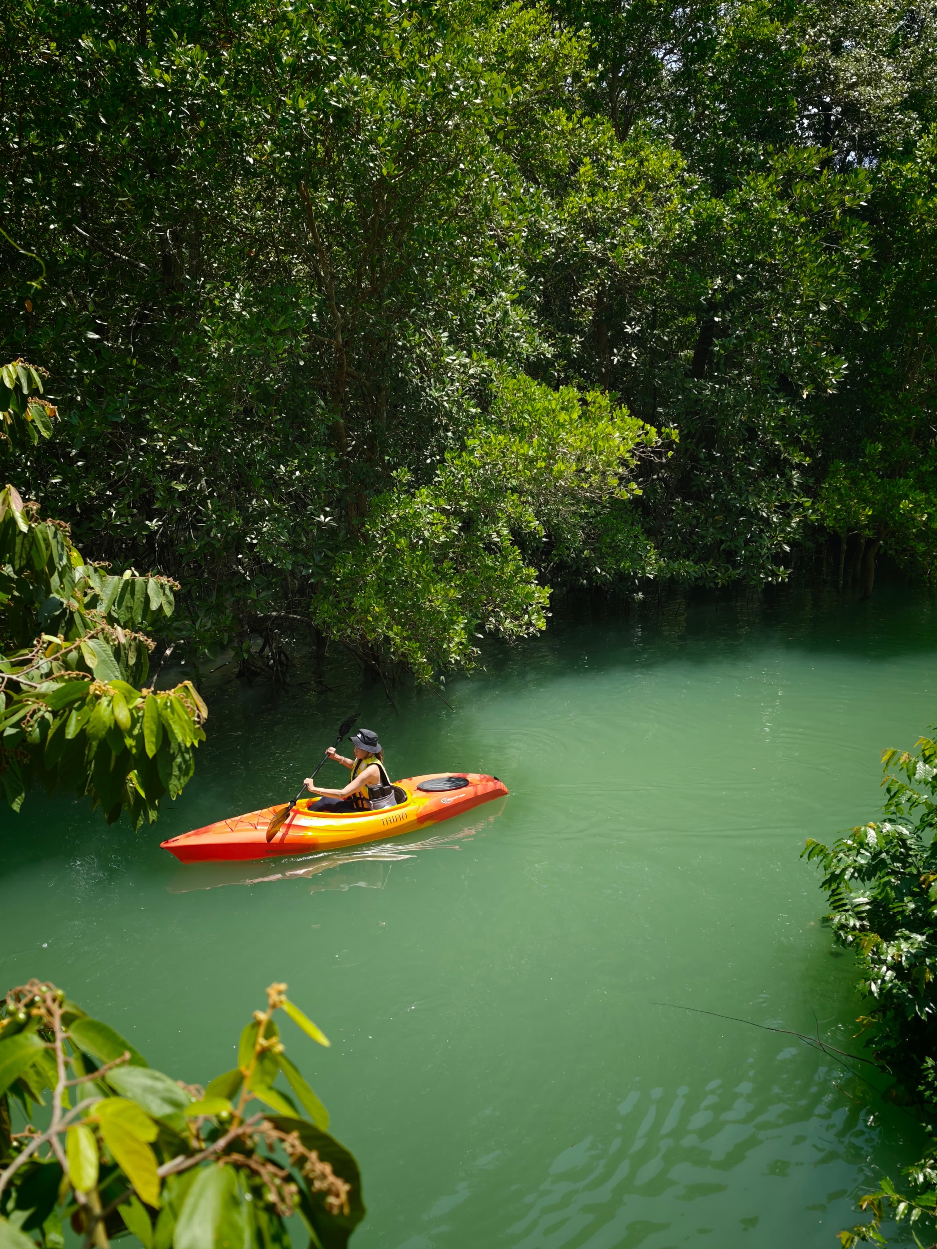 Group Mangrove Expedition