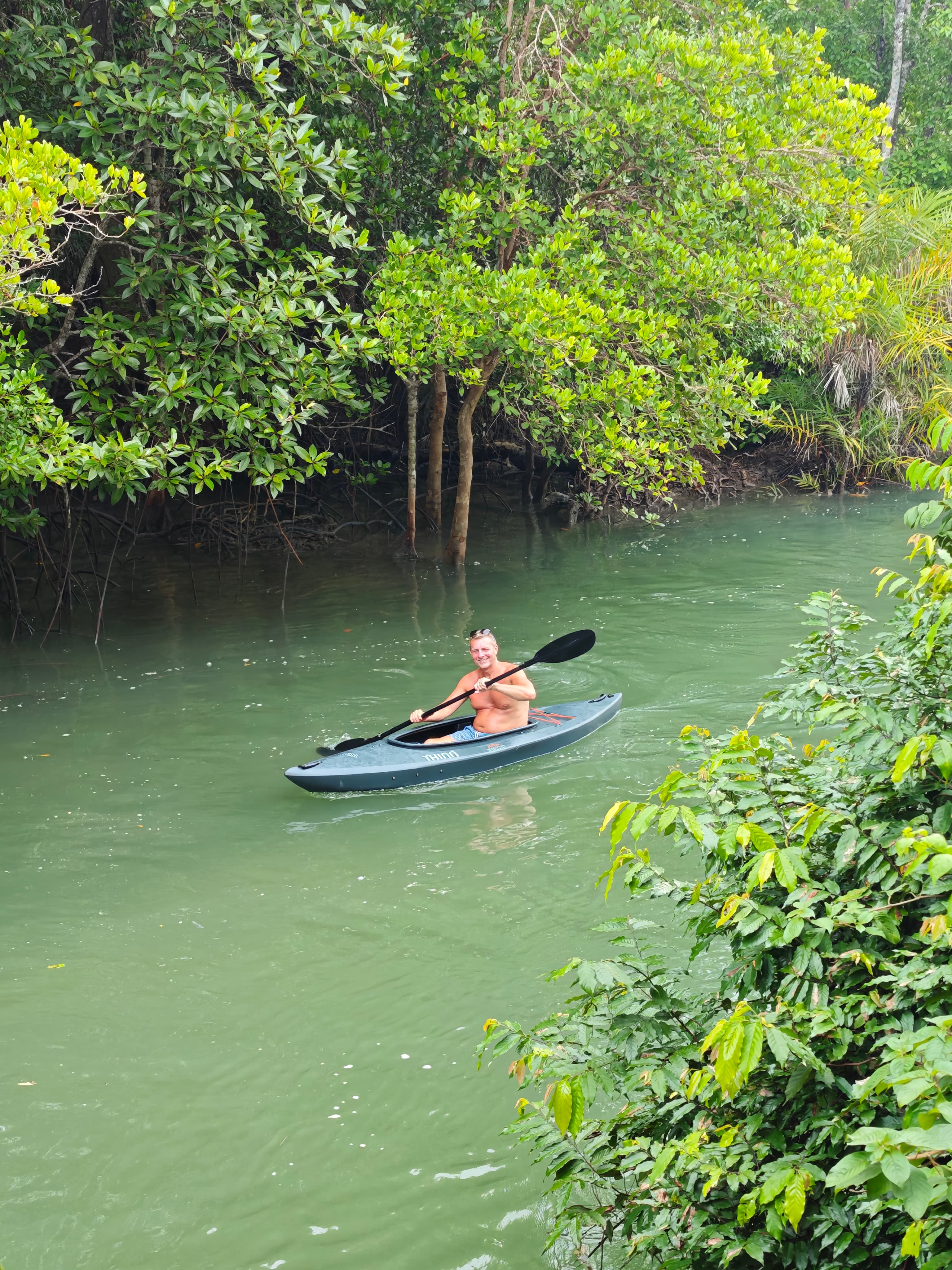Peaceful Mangrove Waters