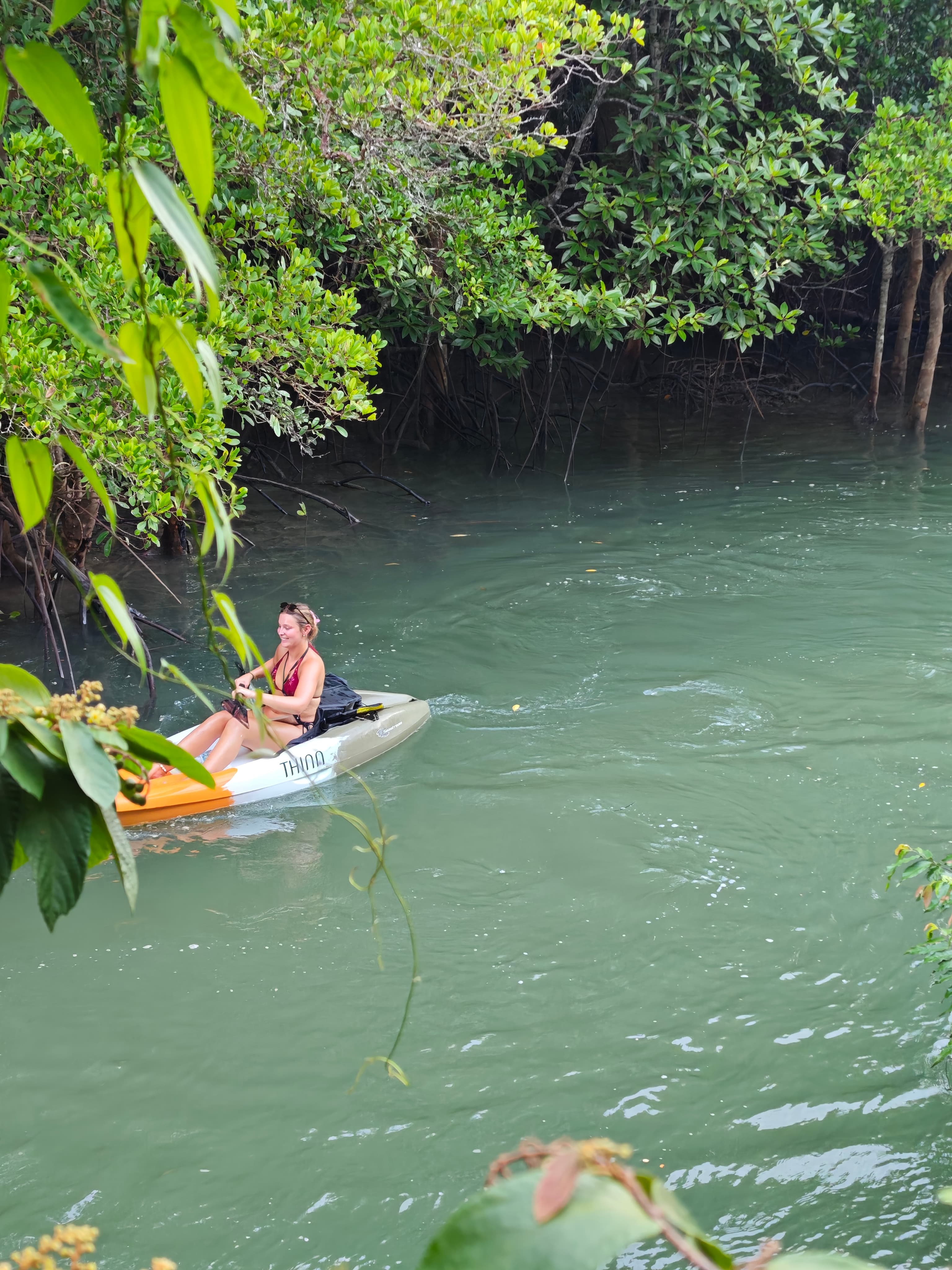 Deep Canopy Paddle
