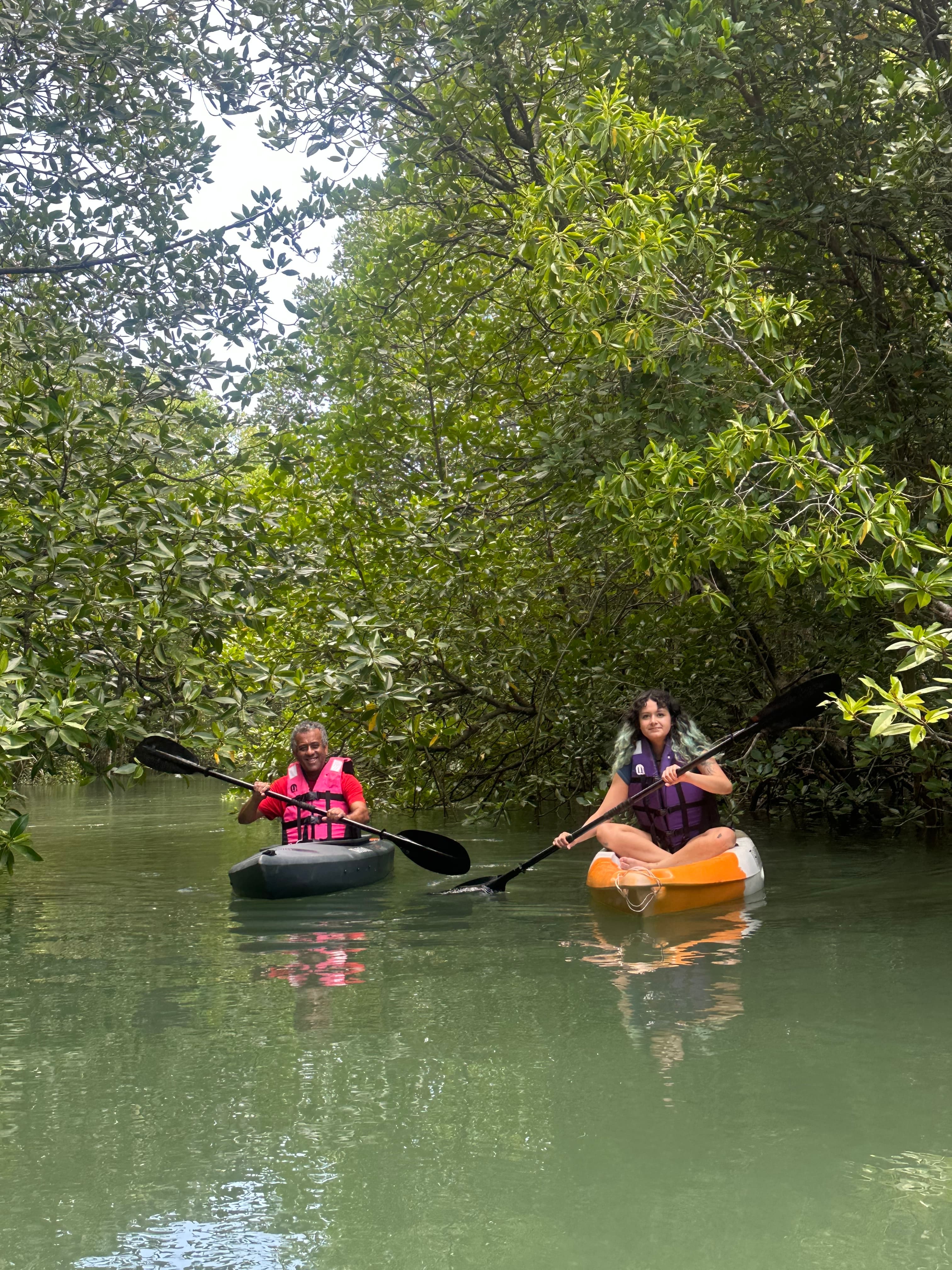 Unforgettable Mangrove Tour