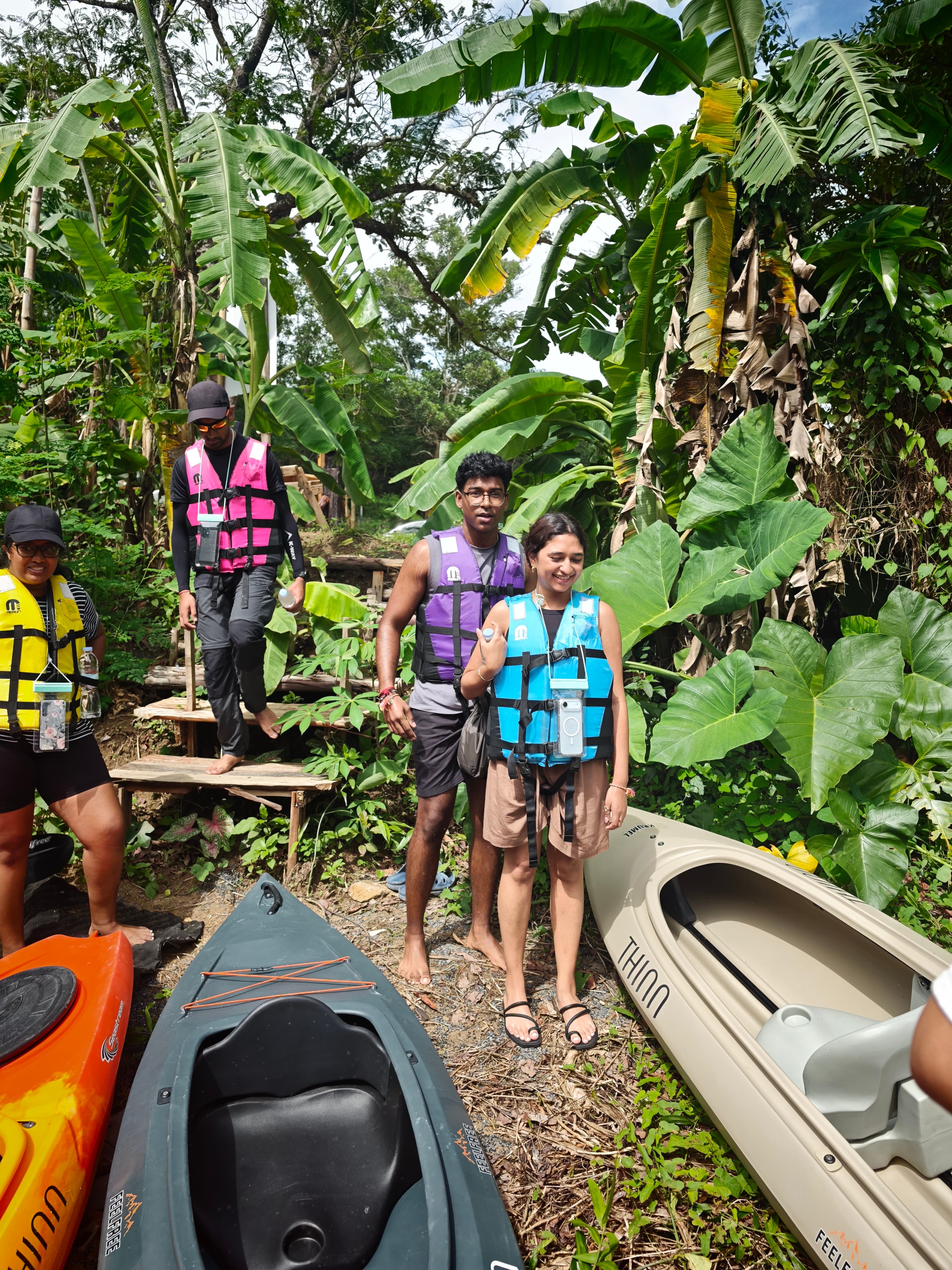 Guests kayaking in the mangroves
